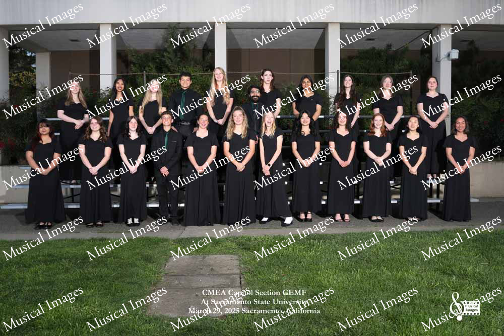 Musical Images